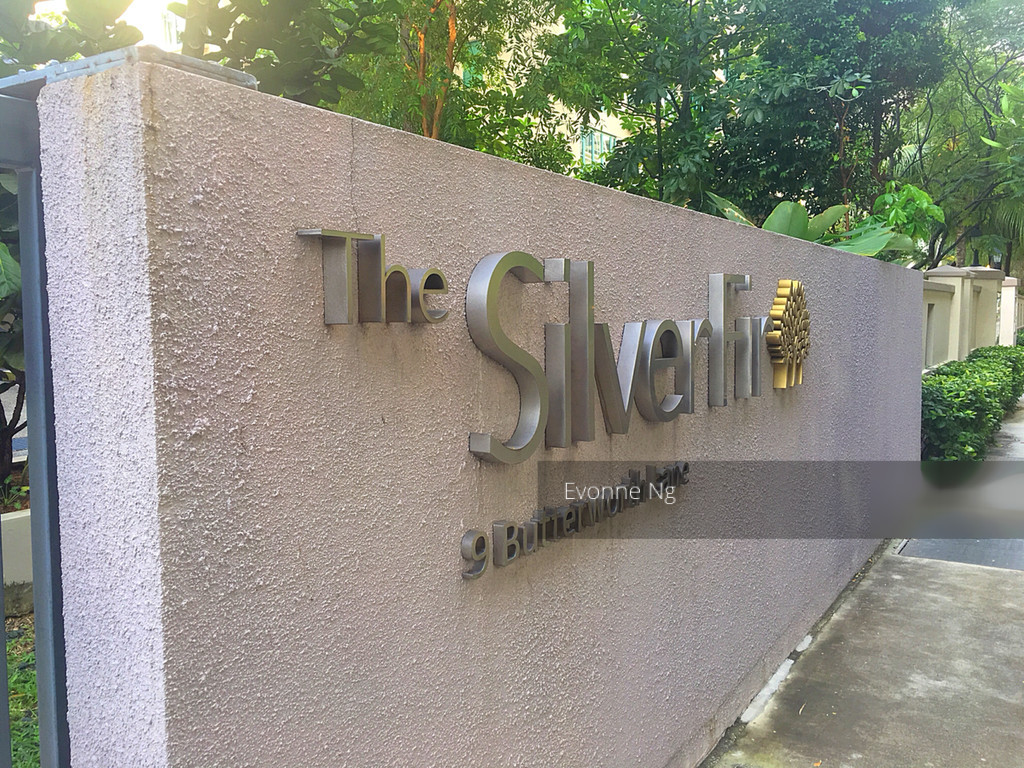 The Silver Fir (D15), Apartment #124502272